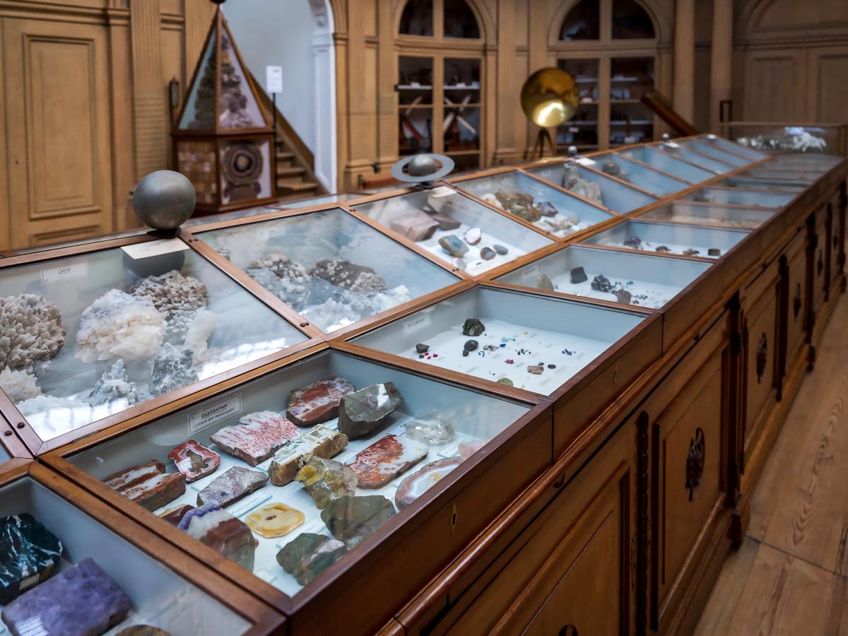 Museum activities: In-depth experience, knowledge and fun go hand in hand