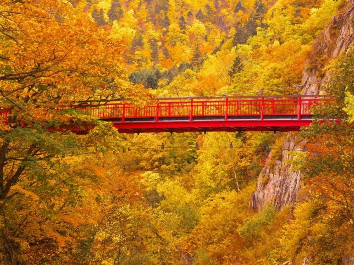 All seasons are beautiful! Nature's hot spring painting