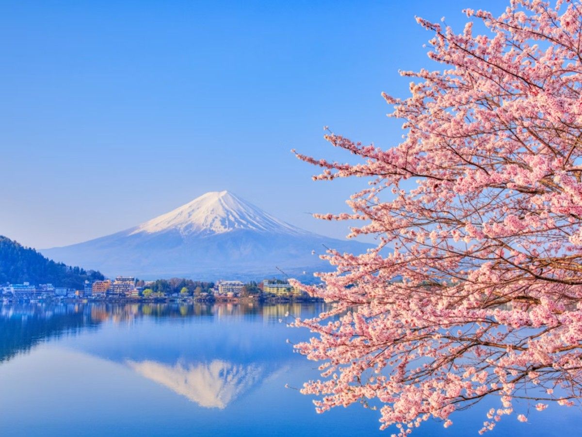 Different scenery in four seasons
