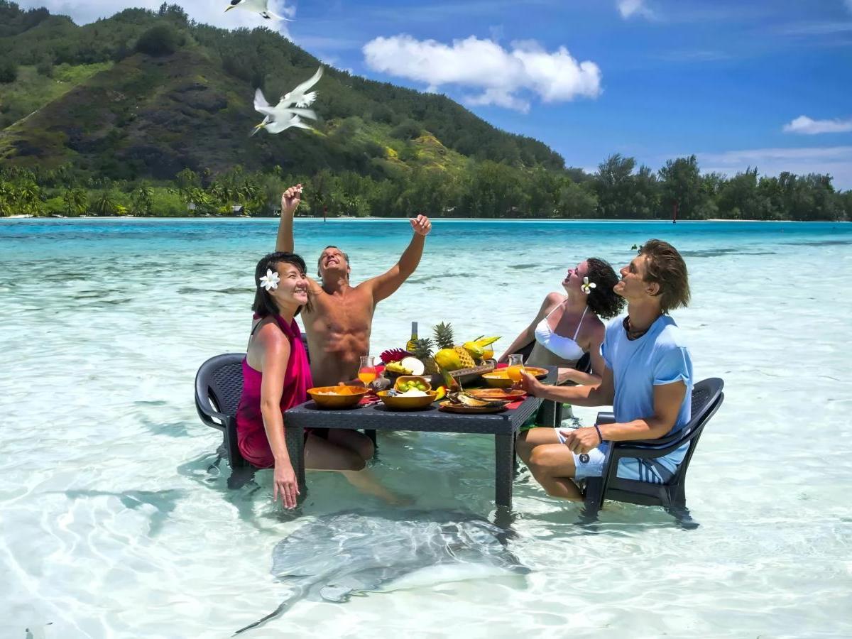 Romantic picnic time