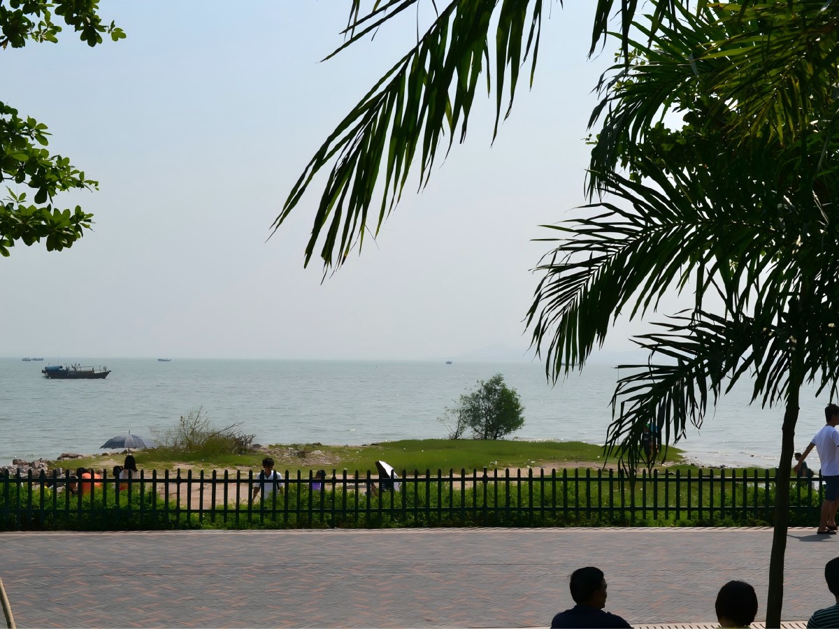 Multi-purpose space at Shenzhen Bay Park