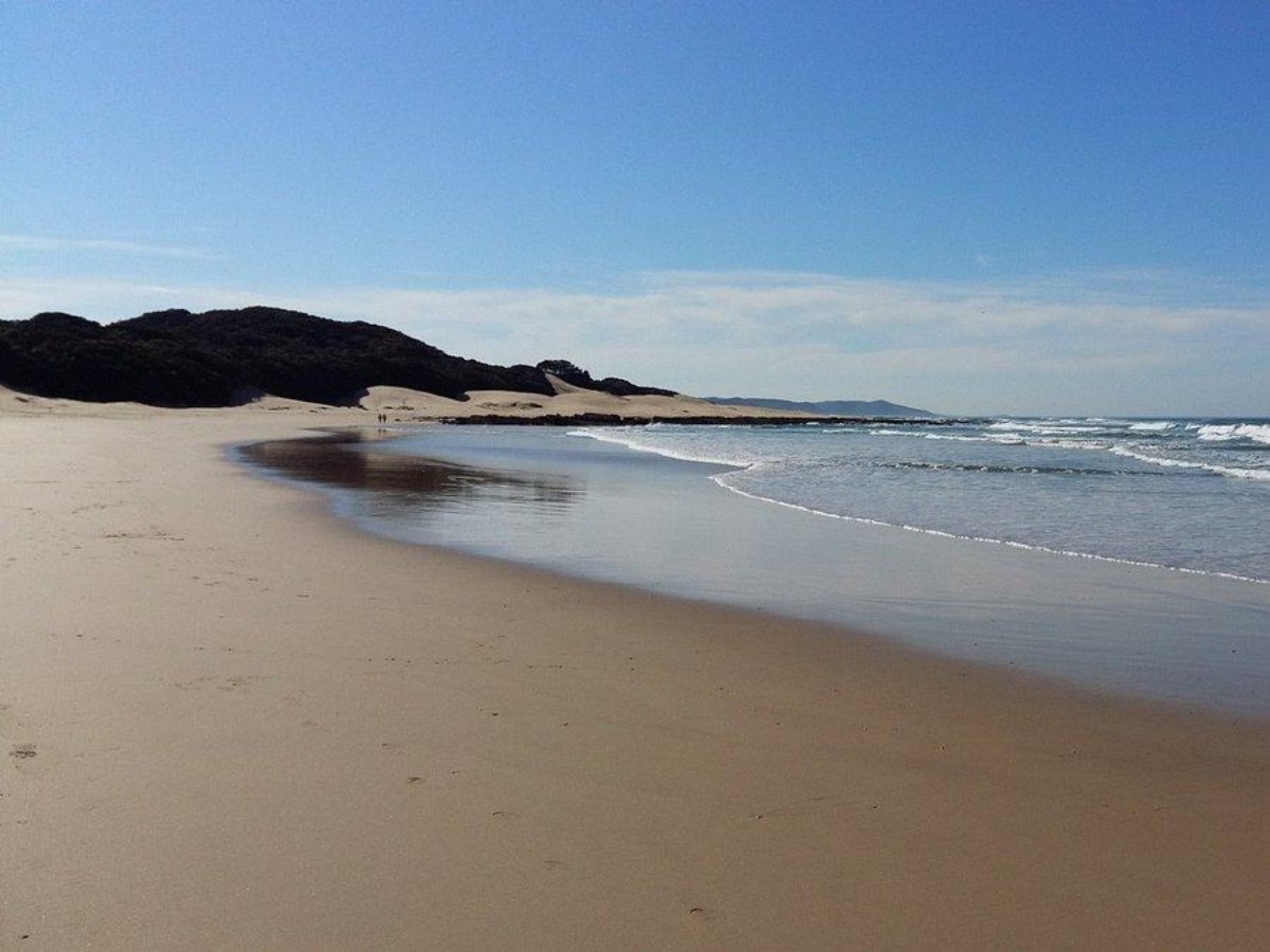 3. Safety Tips: How to avoid rip currents and marine life?