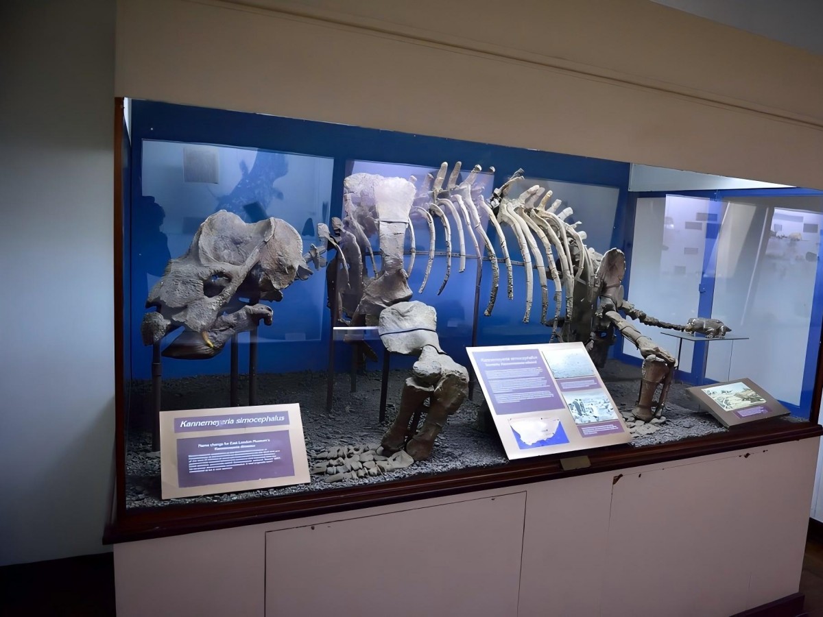 2. A must-see for sailing fans: Shipwreck treasures and maritime history
