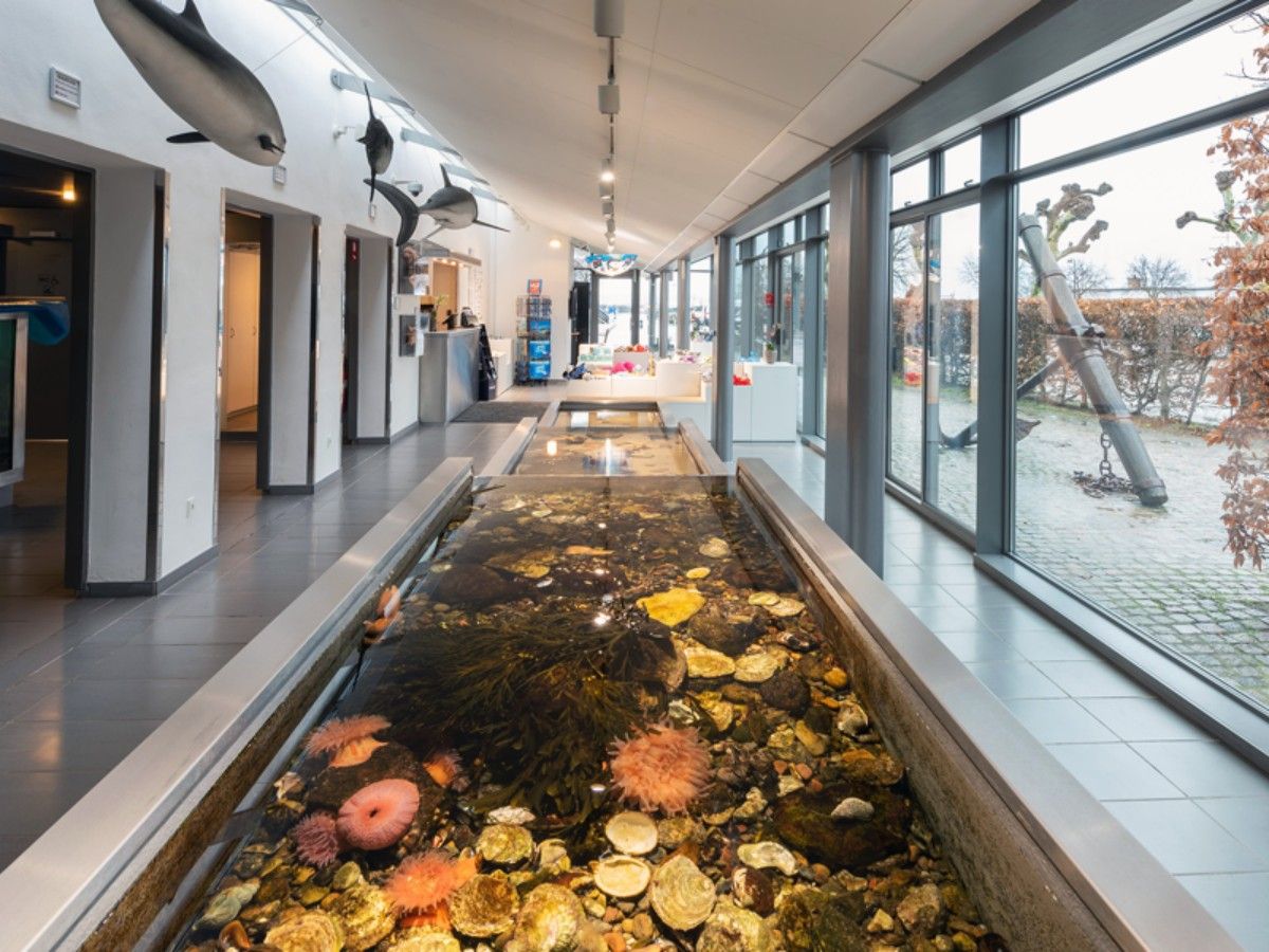 Why choose Oresund Aquarium?