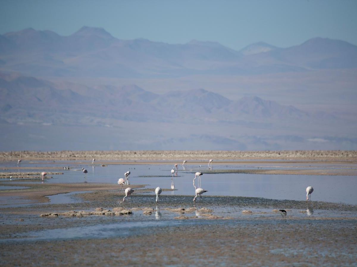 Unique surrounding landscape
