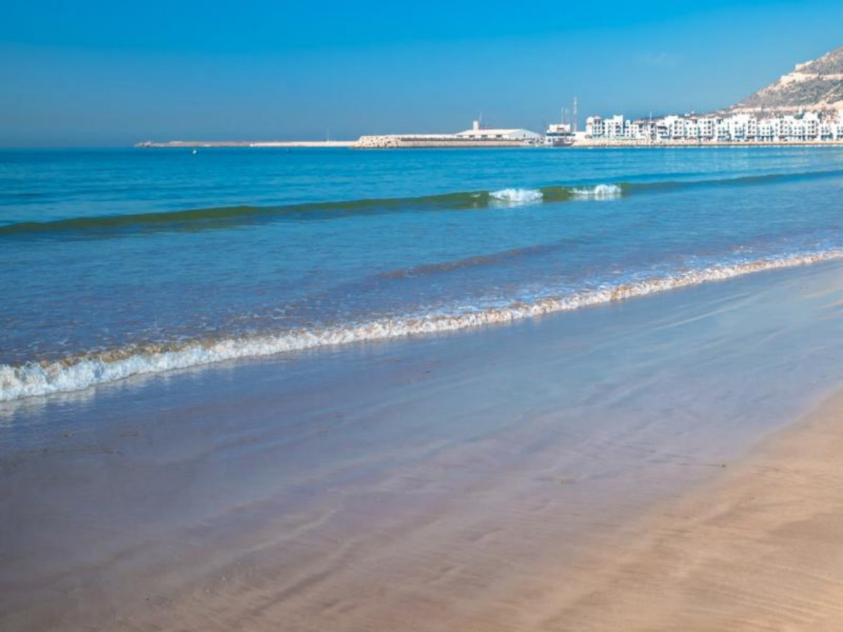 Day 2: Fantasy linkage between the desert and the ocean