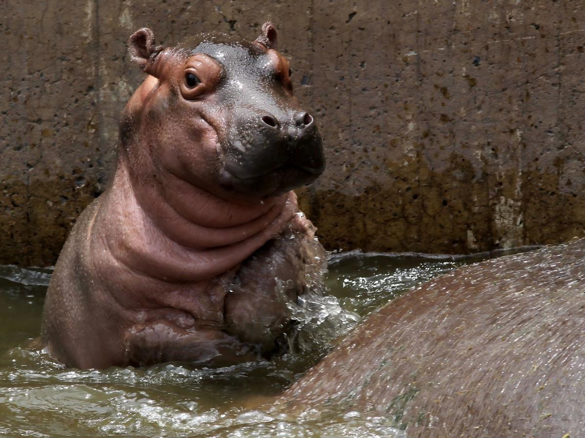 Visiting Guide: Embark on a perfect animal exploration journey