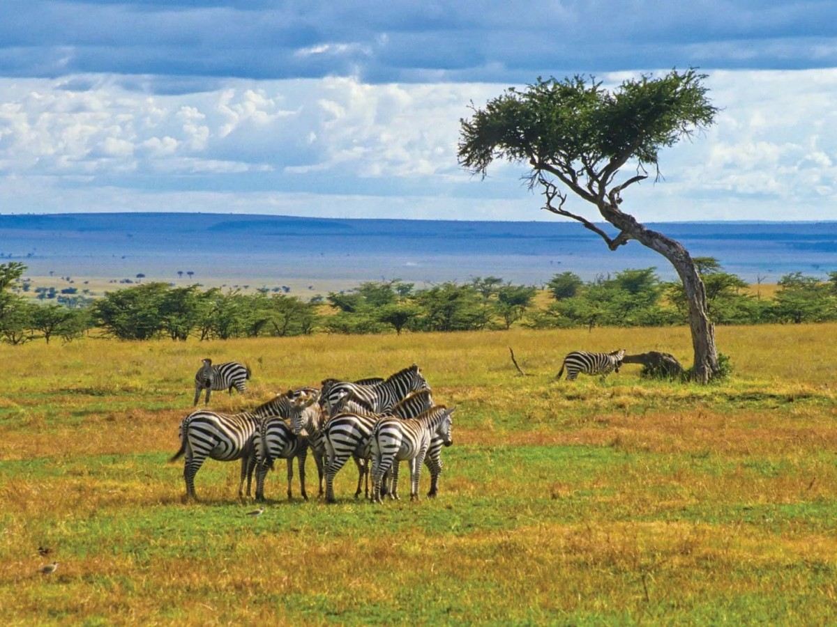 Cultural Experience: Walking with the Kamba Tribe