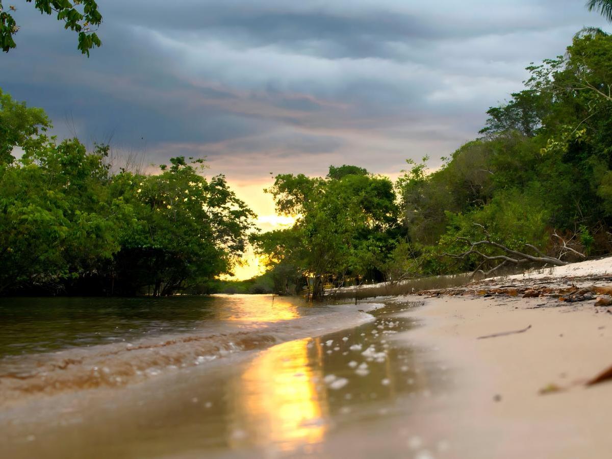 Deep Experience: N Ways to Dance with Nature