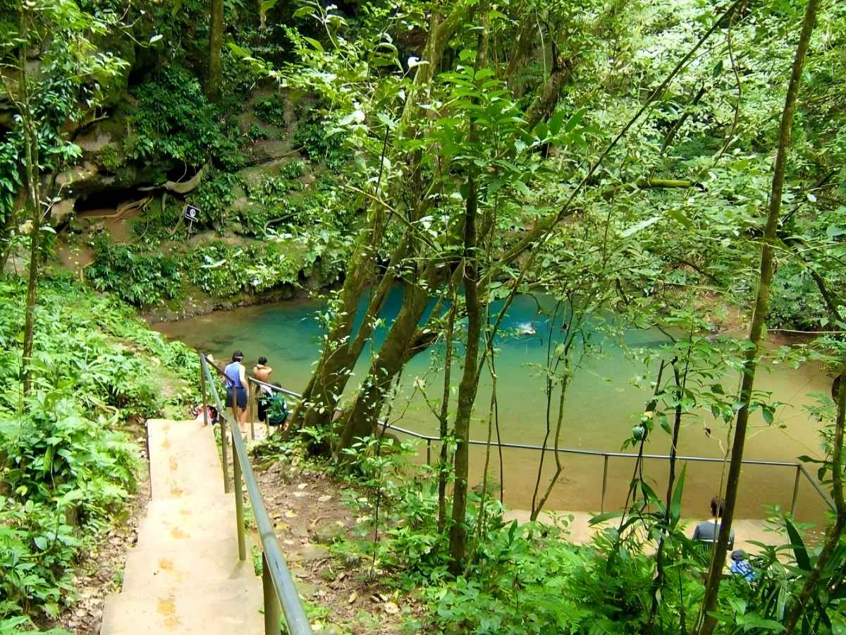 Hiking: Through the Wildness of Grand Bahama