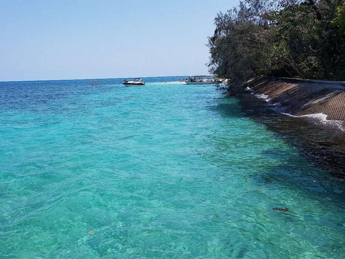 Dive into the dreamy seabed and encounter colorful marine life