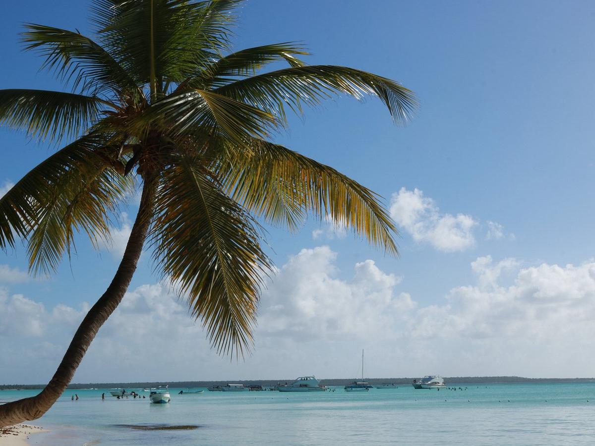 Welcome to Isla Saona