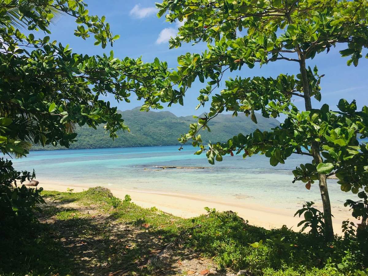 Mangroves, caves, and whales: natural wonders all in one place