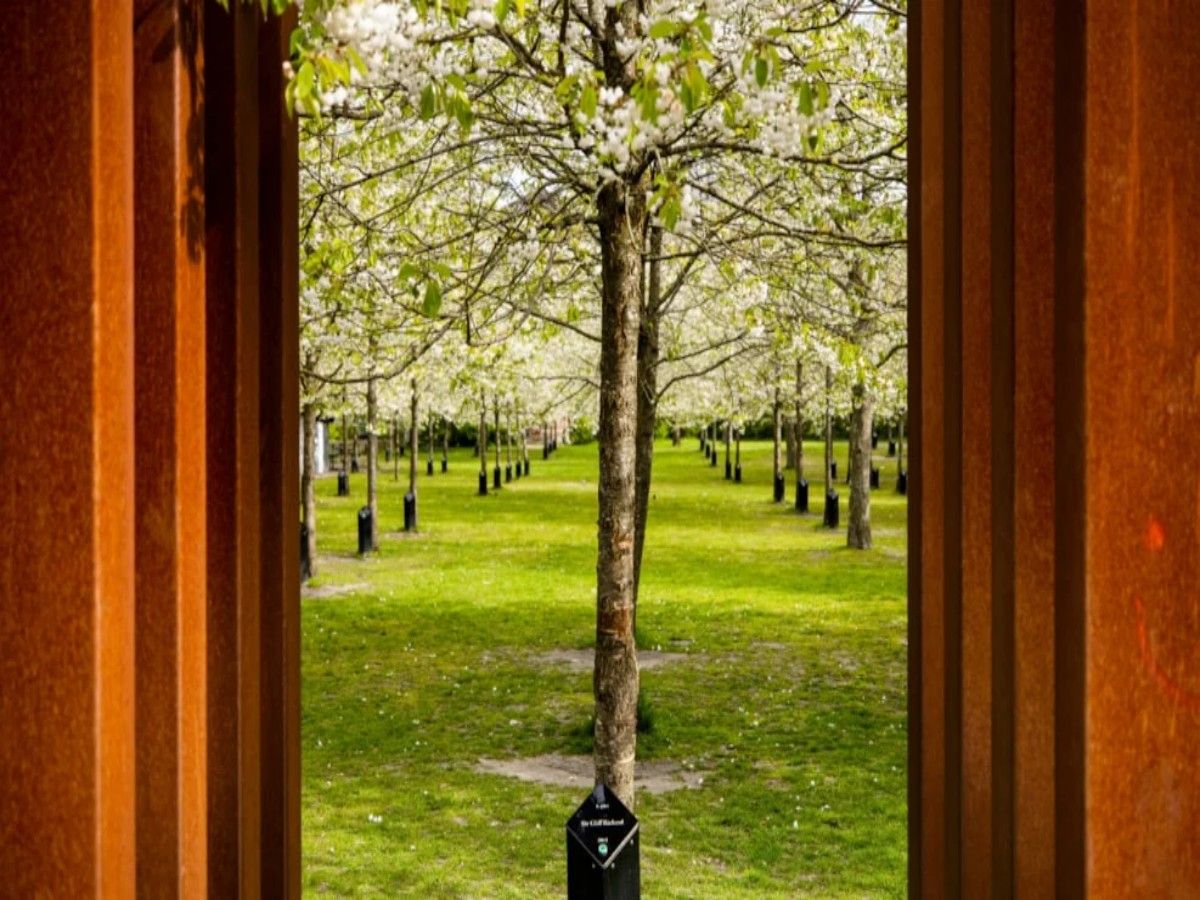Several "singing trees" that must be checked in