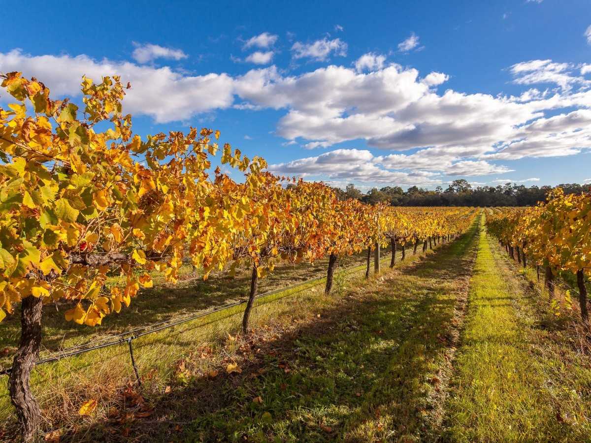 Wine country, but not just for people who “know wine”