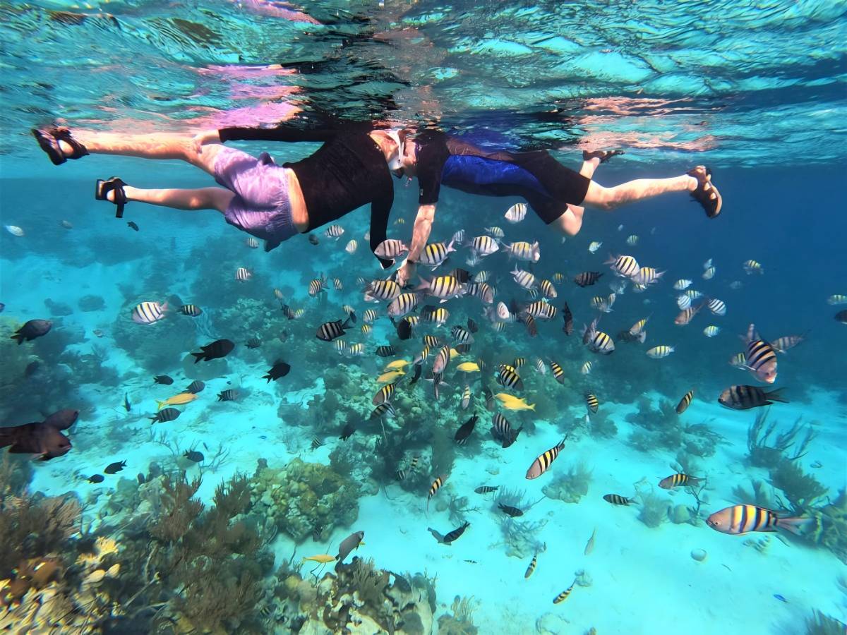 Best Snorkeling Spots at Exuma Cays Land and Sea Park