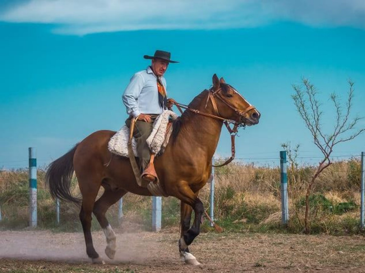 1. Immersive experience of the life of gaucho shepherds: traveling through a hundred years, just for a mouthful of mare's milk wine