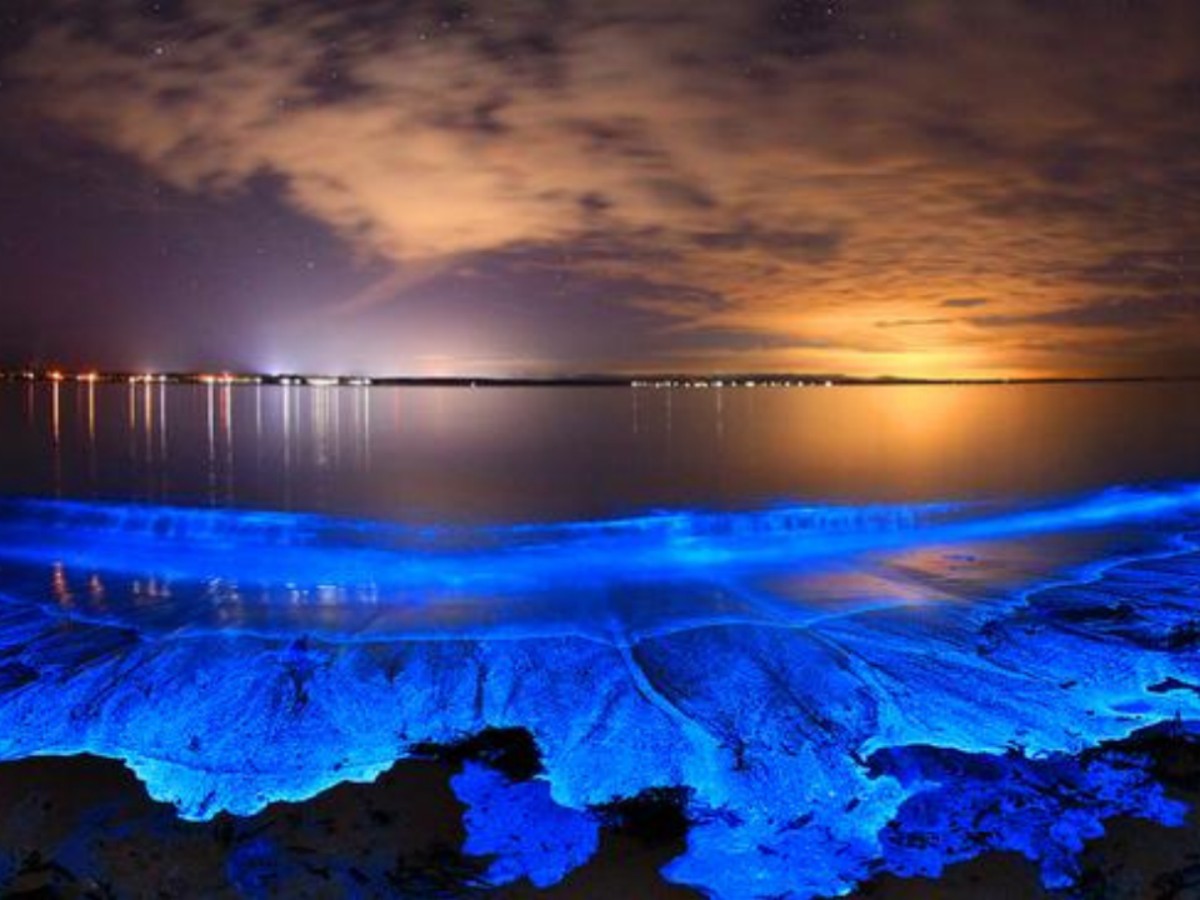 3. Itinerary experience content: a night light fantasy journey