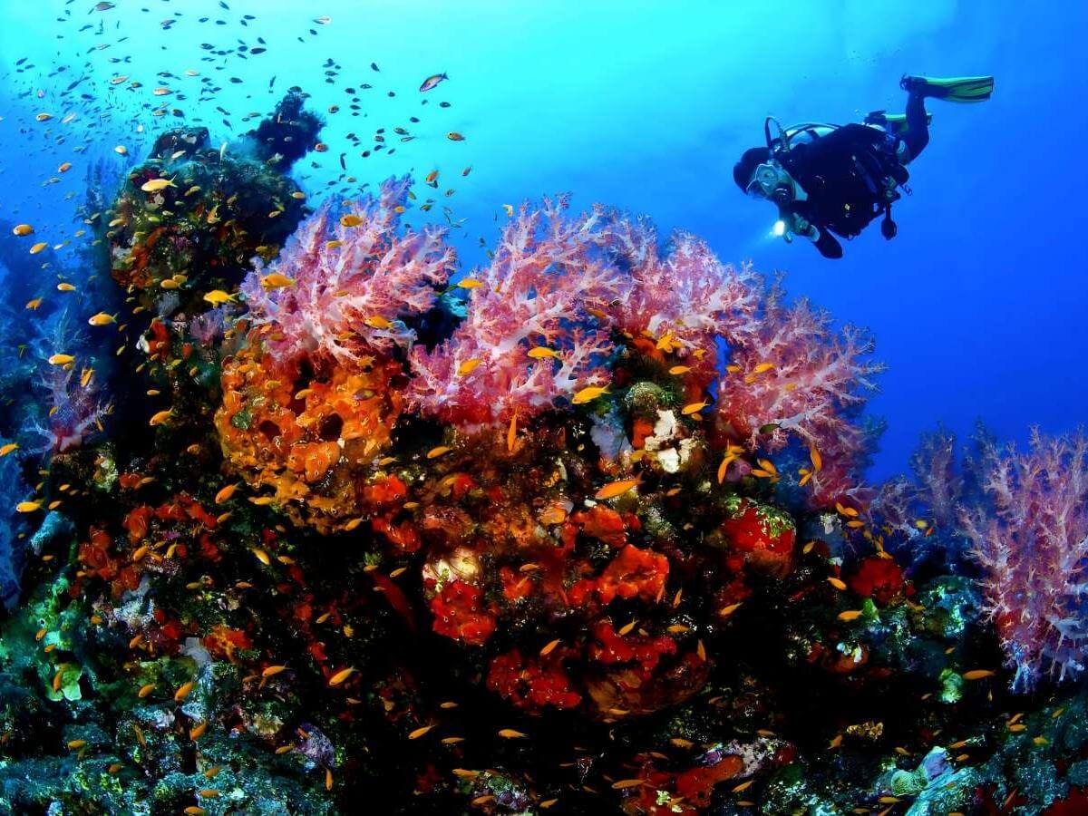 Dive for secrets
