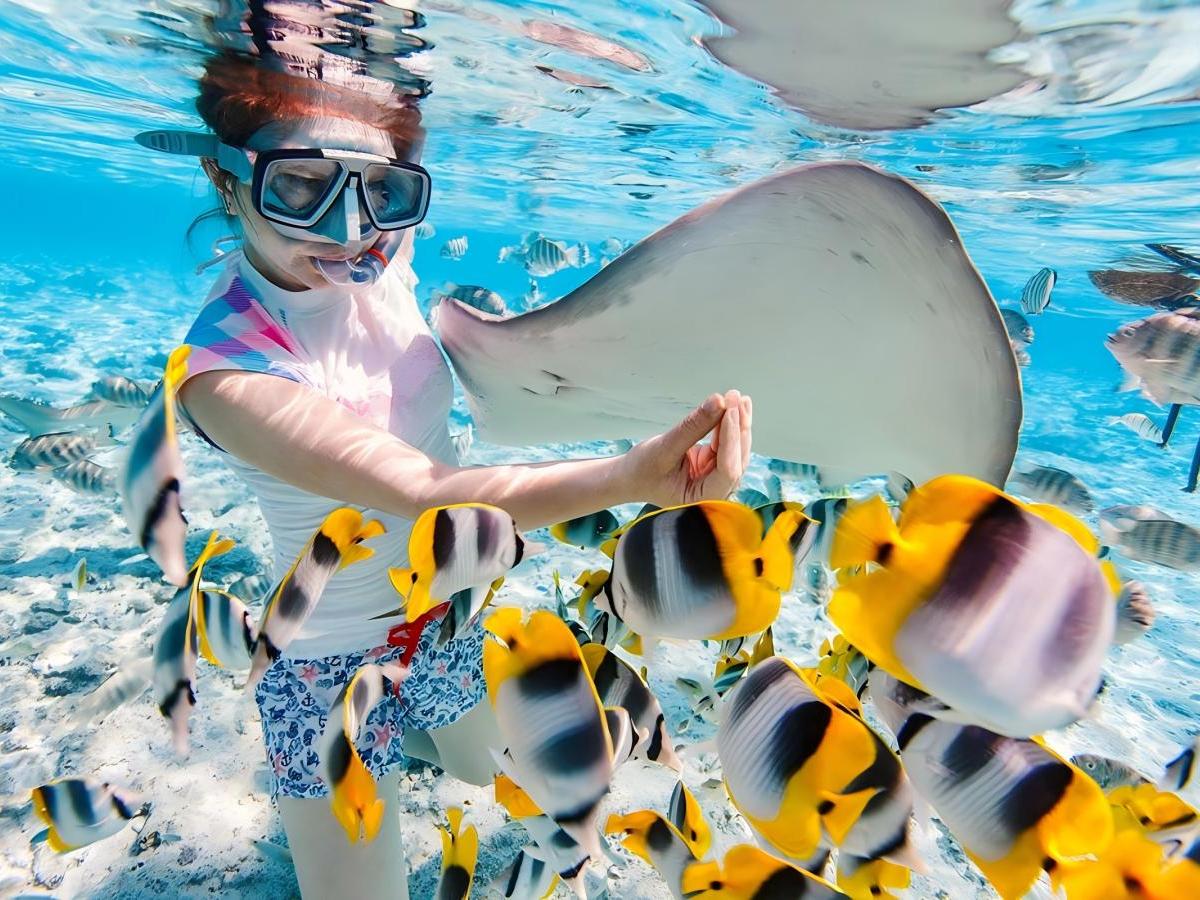 Fantastic snorkeling trip