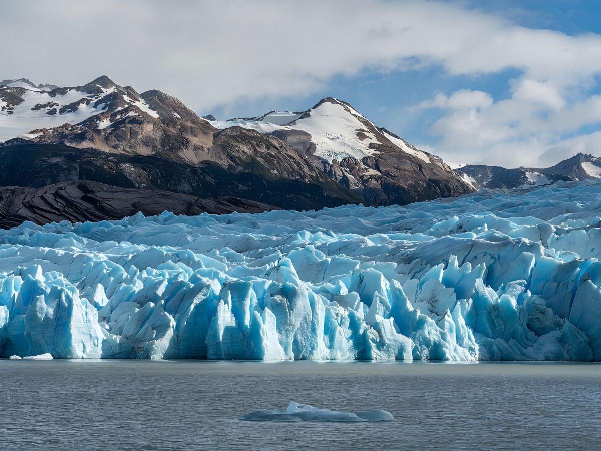 Surrounding ecology: The Miracle of life in a glacial world