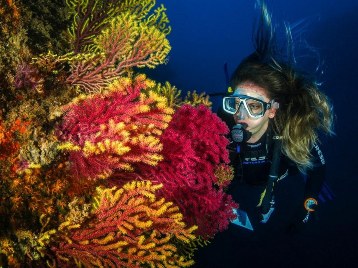 Best Diving Season and Equipment Recommendations