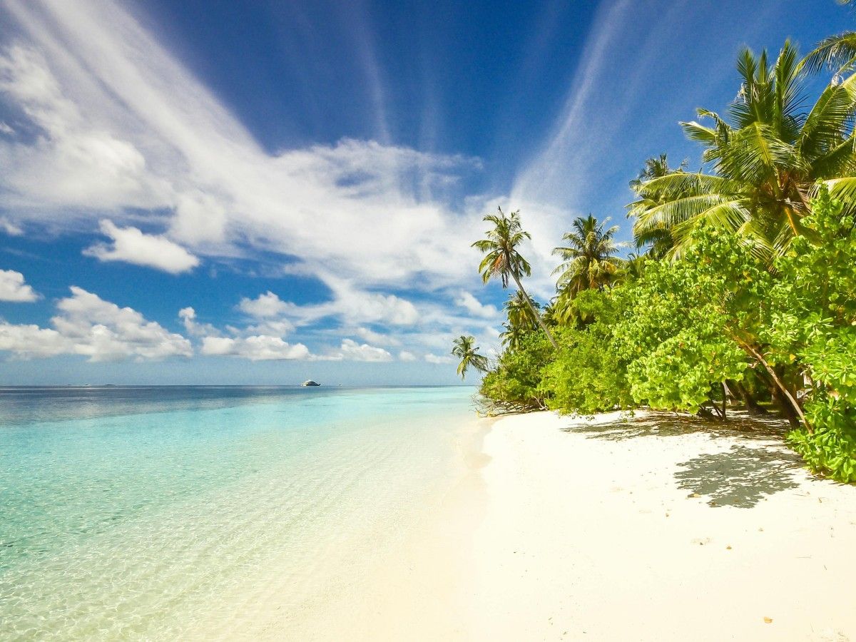 Must-see attractions and activities