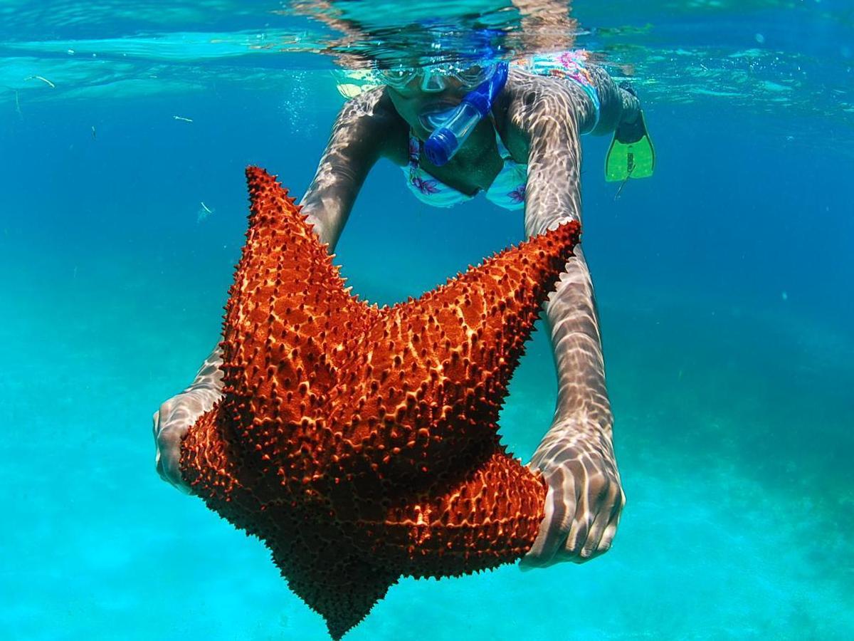 Discover the underwater world