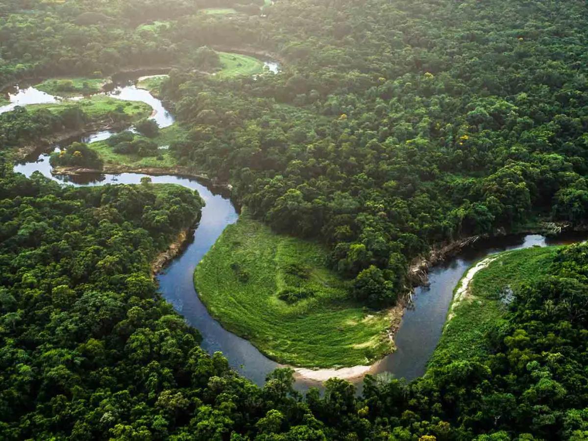 Beyond Tourism: Insights into the Future of Bosque da Ciência