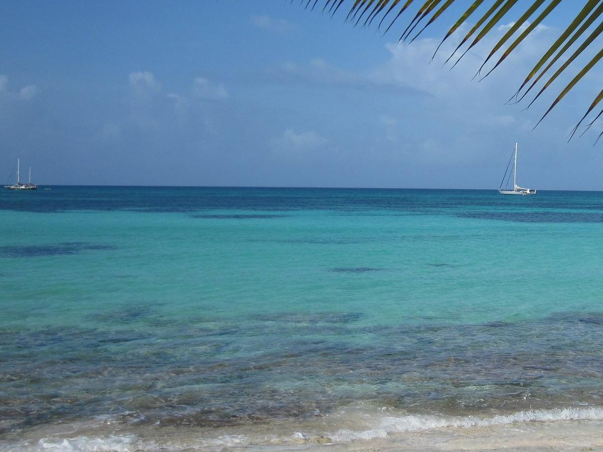 Explore the island