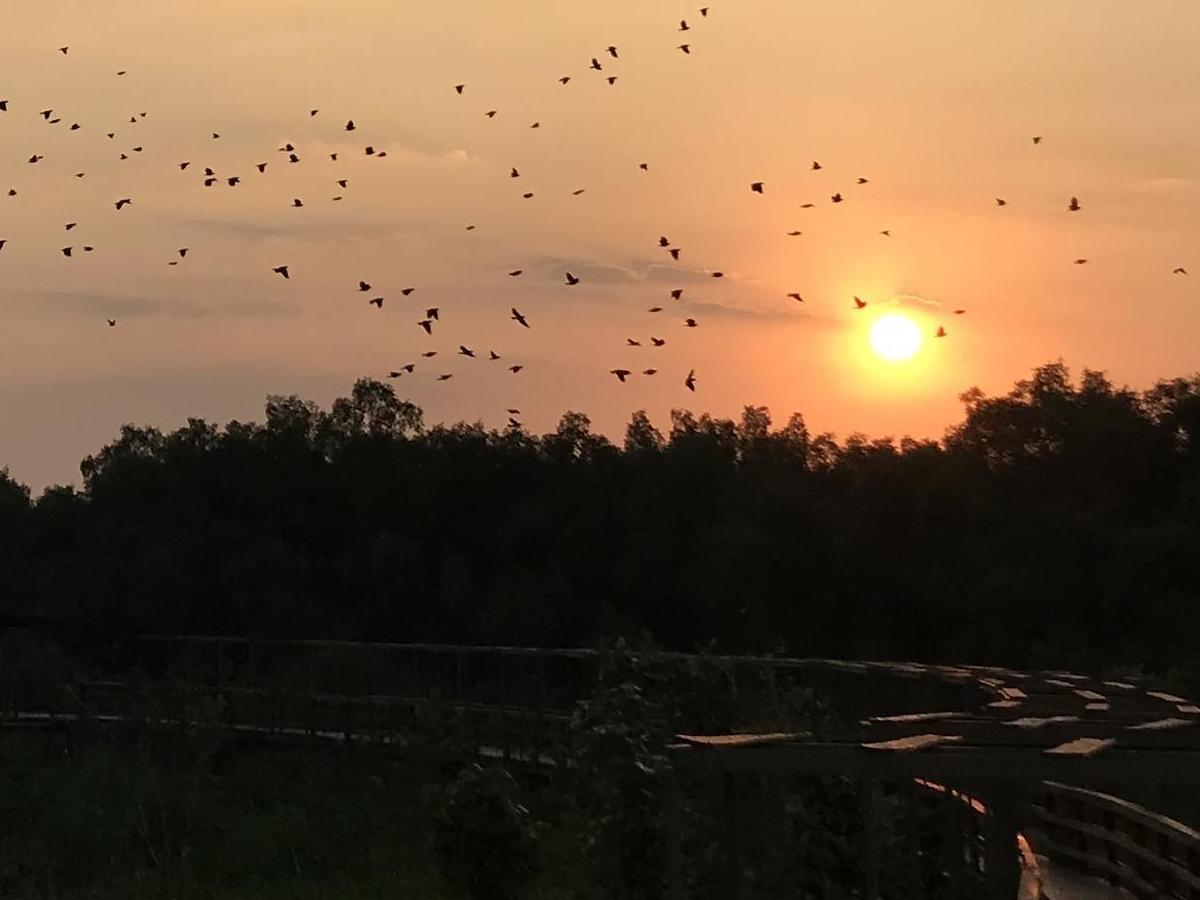 Enjoy a leisurely sunset