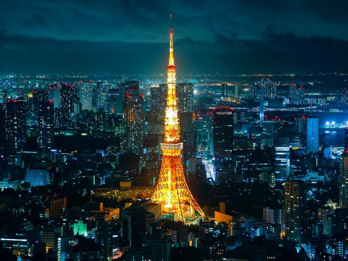 Climb to the top of the observatory and overlook the panoramic view of Tokyo