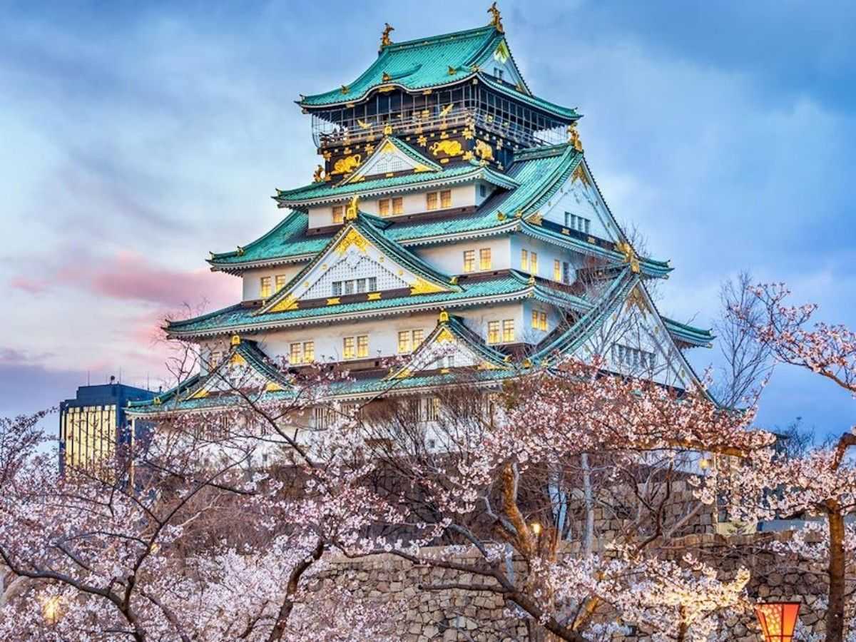 Spring: Cherry Blossom Festival and Japanese Style Experience